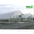 Commercial tunnel agricultural greenhouse single span